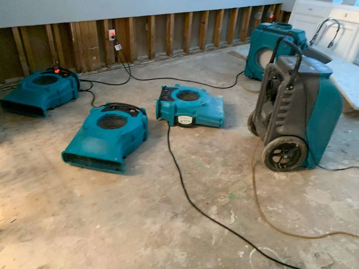Water Damage Assessment in Scott, LA